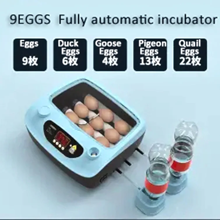 Capacity 60 chicken eggs or 80 quail eggs incubators for sale/Professional mini incubator used/Poultry incubator for sale