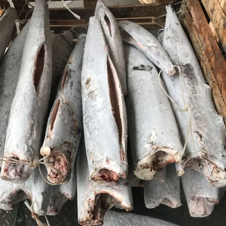 Seafrozen Wahoo Fish Wholesale Price