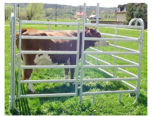 gal cattle fence.png