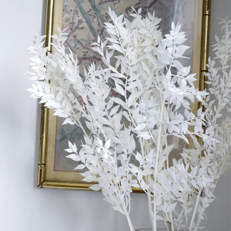 Wholesale natural decorative dried flowers bleached preserved stems botanical foliage ruscus leaves branch