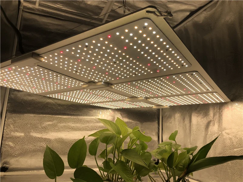 2021 Cheap Grow Lamp Board 400w lm301b 660nm osra Grow Lights For indoor Plant Cultivation