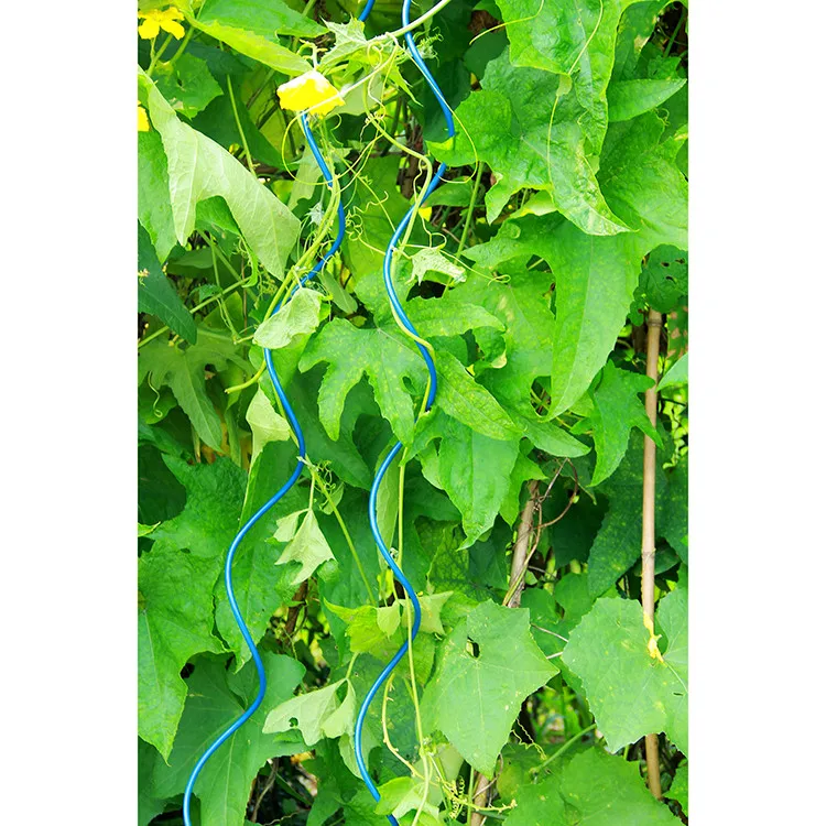 Sprial Stick Garden Spiral Support Wire Tomato Stakes For Gardenlant tomat support