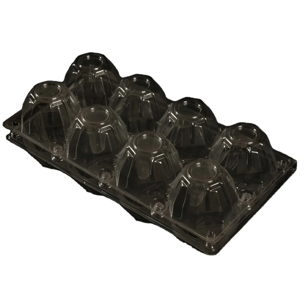Clear Eggs Food Storage Container Custom Plastic Egg Tray packing egg box