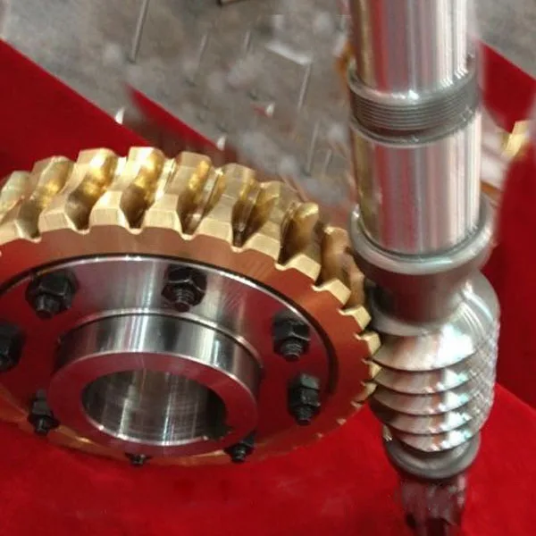 
China customized machinery accessories worm gear 