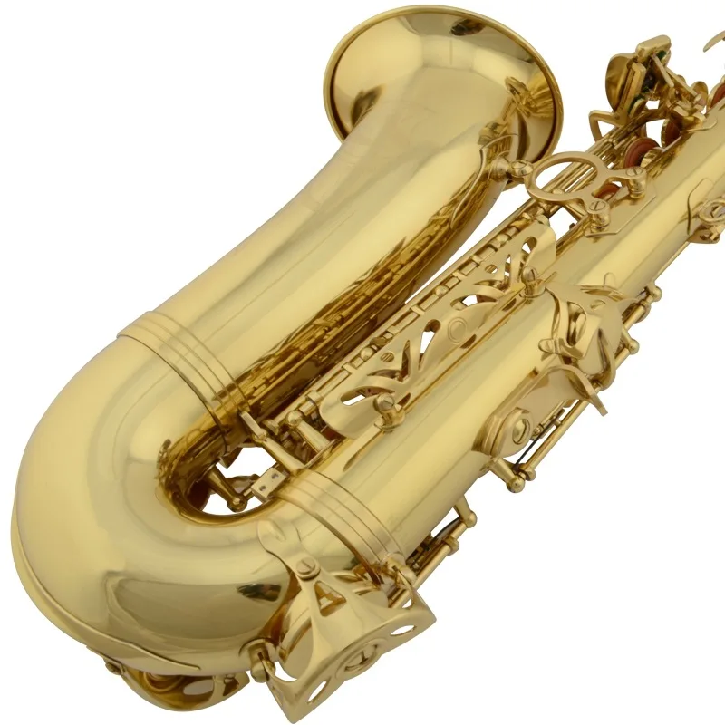 saxophone alto instrument,baritone tenor saxophone,saxophone alto professional