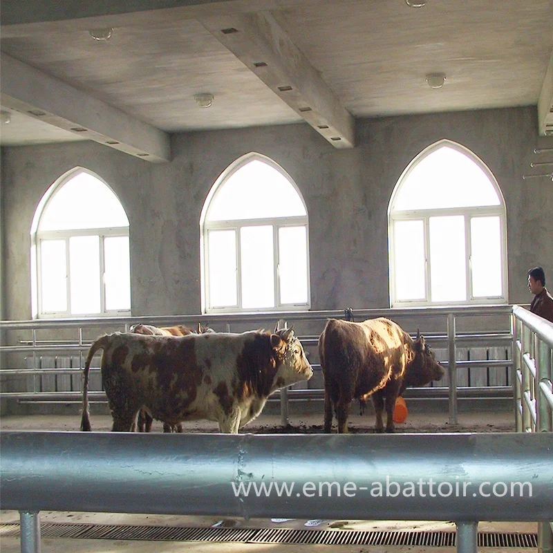 Halal Abattoir Machinery Ritual Cattle Slaughter Box Killing Machine for Bovine Cow Slaughterhouse Equipment