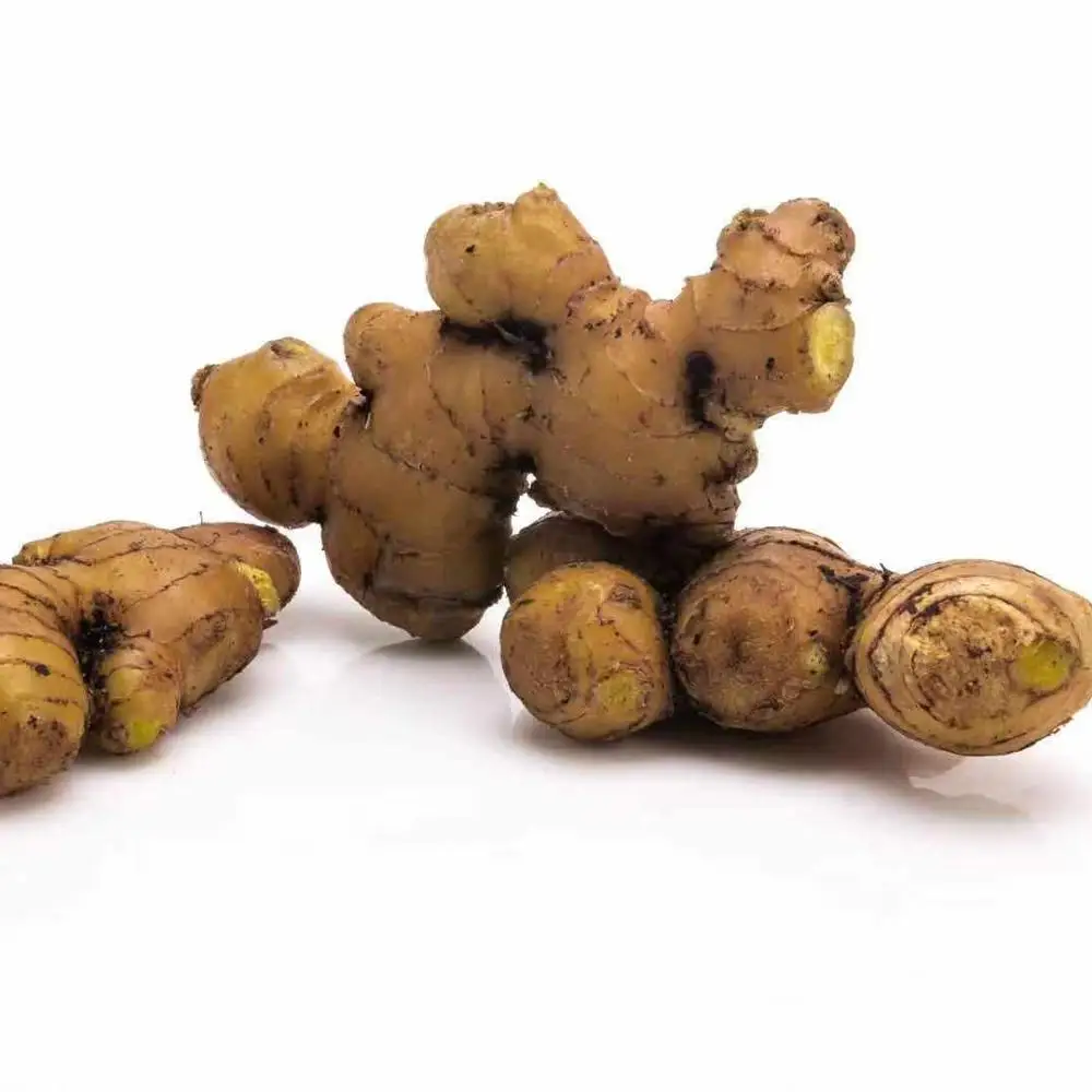 
China Supplier High Quality Best Price Shandong Fresh Spicy Yellow Ginger 