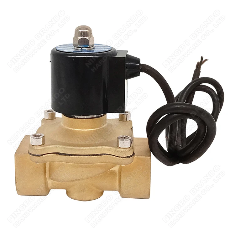 2W250-25 1' 2 Way Normally Closed Water Brass Solenoid Valve With IP67 Water-proof Coil 12V 24V DC 110V 220V AC