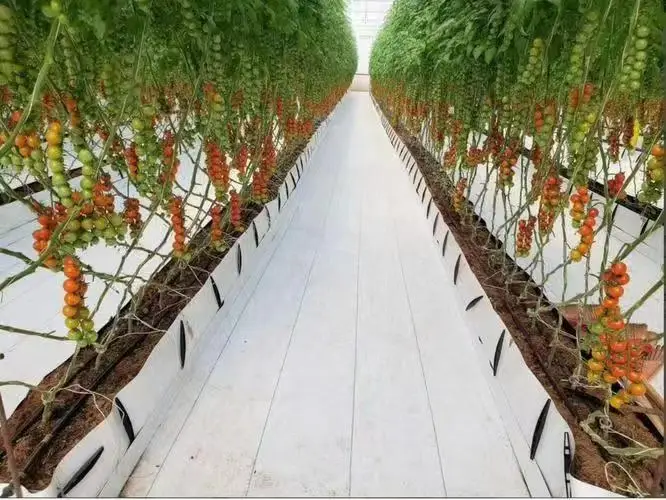 As customized Perforable and Sliceable Hot Sell Weed Mat PE Plastic Weed White Mat Fabric Cloth Weed Barrier   Ground Cover