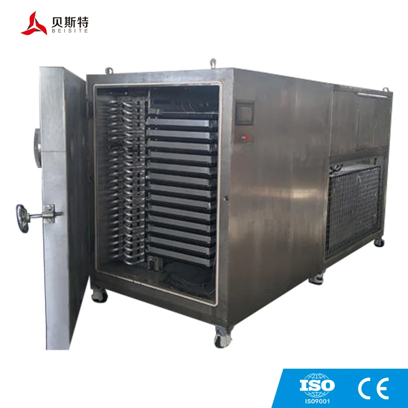 Vacuum Microwave Sterilizing Dryer Machine Microwave Vacuum Freeze Dryer Dehydrator