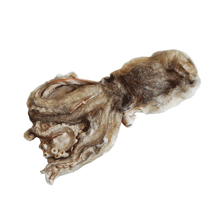 Freeze Dried Octopus Sea Fishing Lure