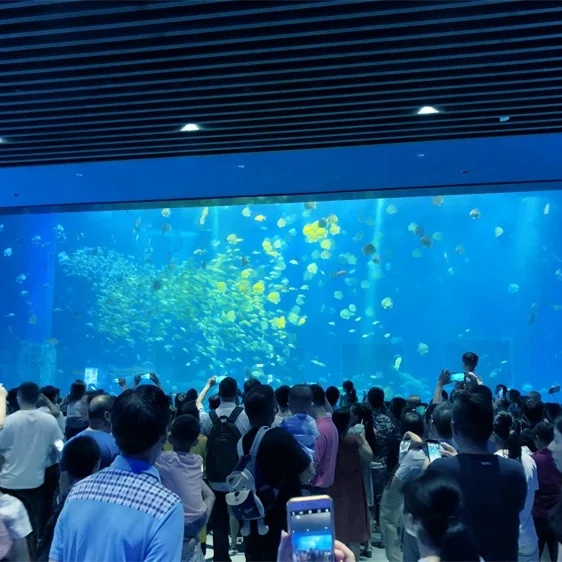 China Manufacturer Acrylic Sheet Transparent Aquarium Observation Window Panels Price
