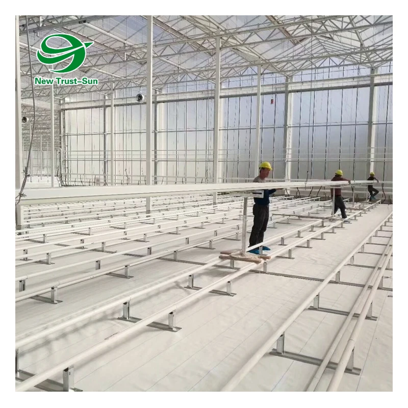 Polycarbonate sheet Green house tomato hydroponics growing greenhouse for agricultural