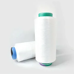 Manufacture Textile Yarn DTY 300D 600D NIM SD RW Polyester Textured Curtain Carpet Yarn Factory