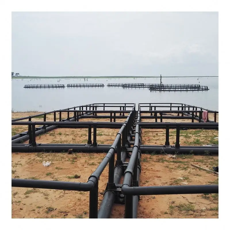 Hot Selling Tilapia Floating HDPE Small Round Sea Breeding Cage
