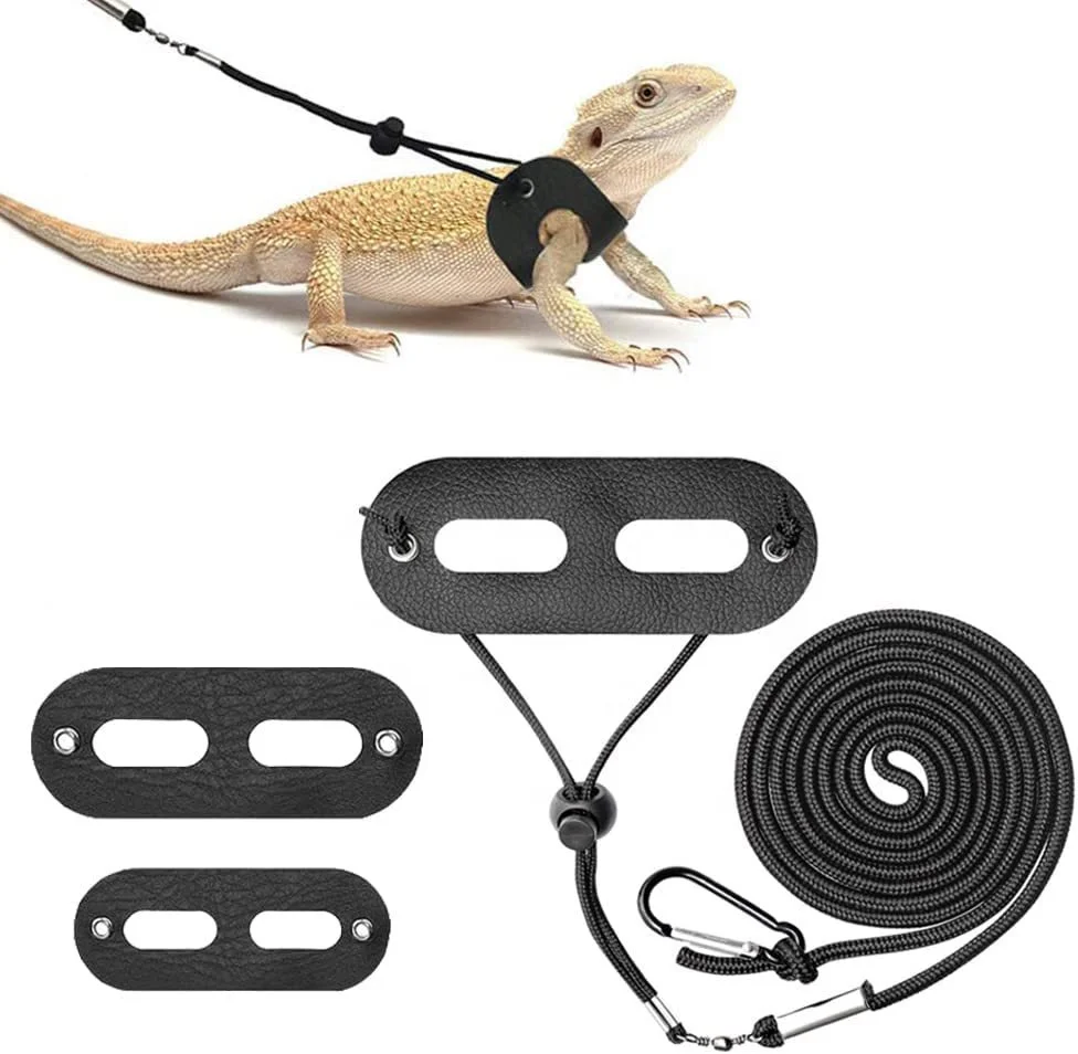 Lizard lead rope totoro cat climb pet out traction with pet to turn chest back lead rope squirrel flower branch rat supplies