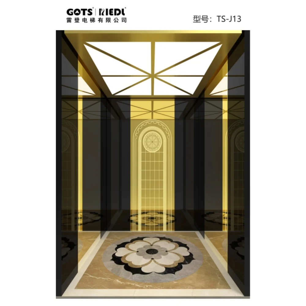 GOTS good quality Otis elevator home hole passenger elevator cheap price elevator