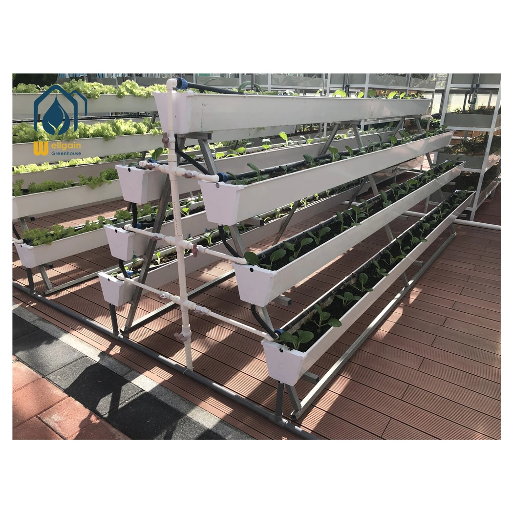 glass greenhouse hydroponics growing system hydroponic tower vertical