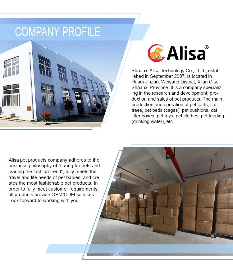 company information