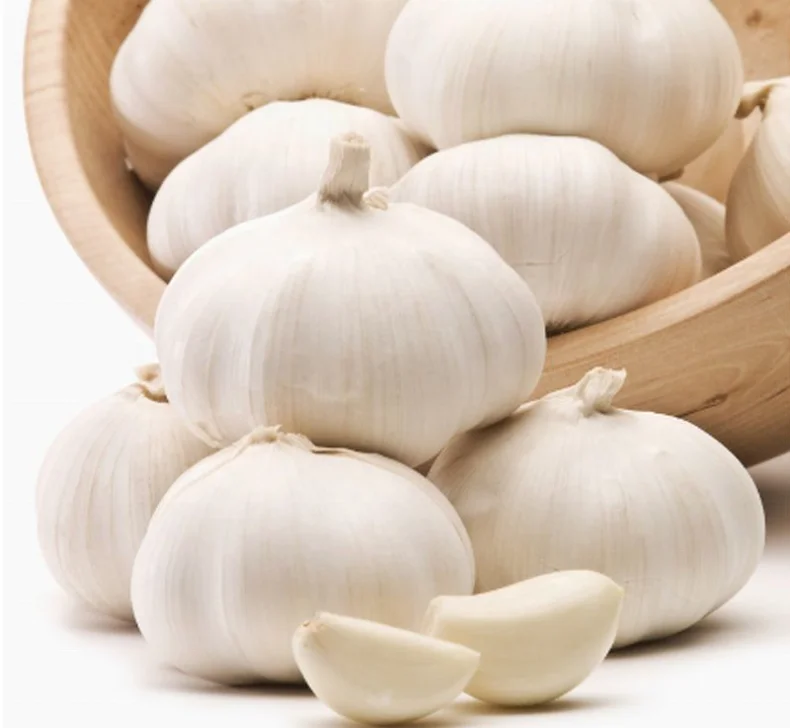 super quality Chinese fresh garlic wholesale