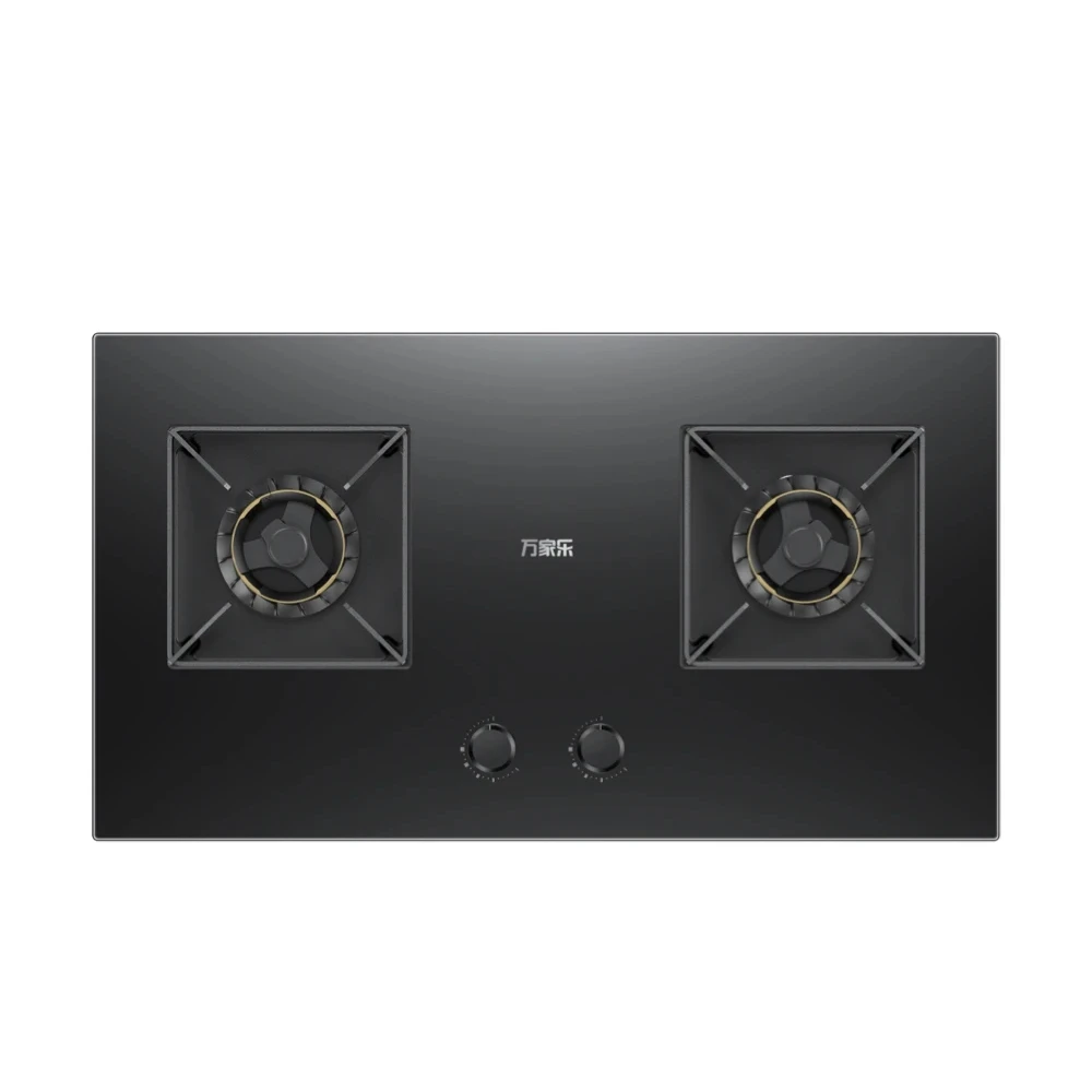 Professional High Quality Modern Kitchen Upgrade 2-Burner Gas Stove Cooker for Household