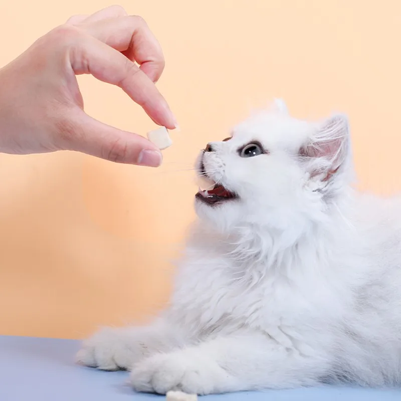 OEM Functional pets food Freeze Dried snacks and treats For Cats Dogs hamster and parrot  of all stages