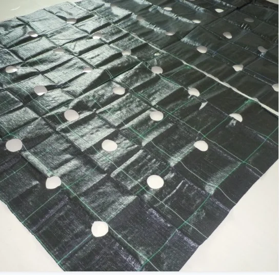 Ground weed control cover fabric PP woven anti grass ground cover