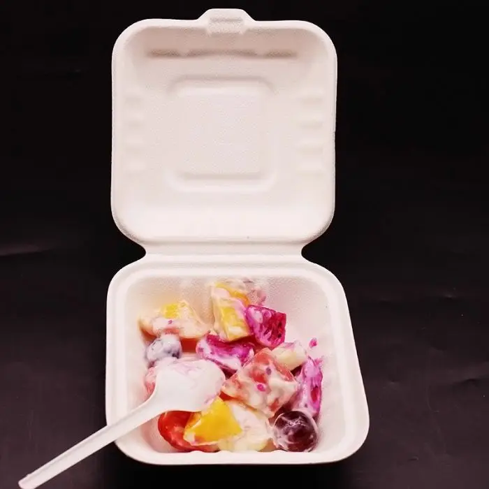 Eco-Friendly biodegradable bamboo pulp material  sugarcane bagasse food container