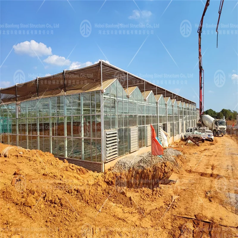 Low-Cost Tunnel Greenhouse for Efficient Crop Production