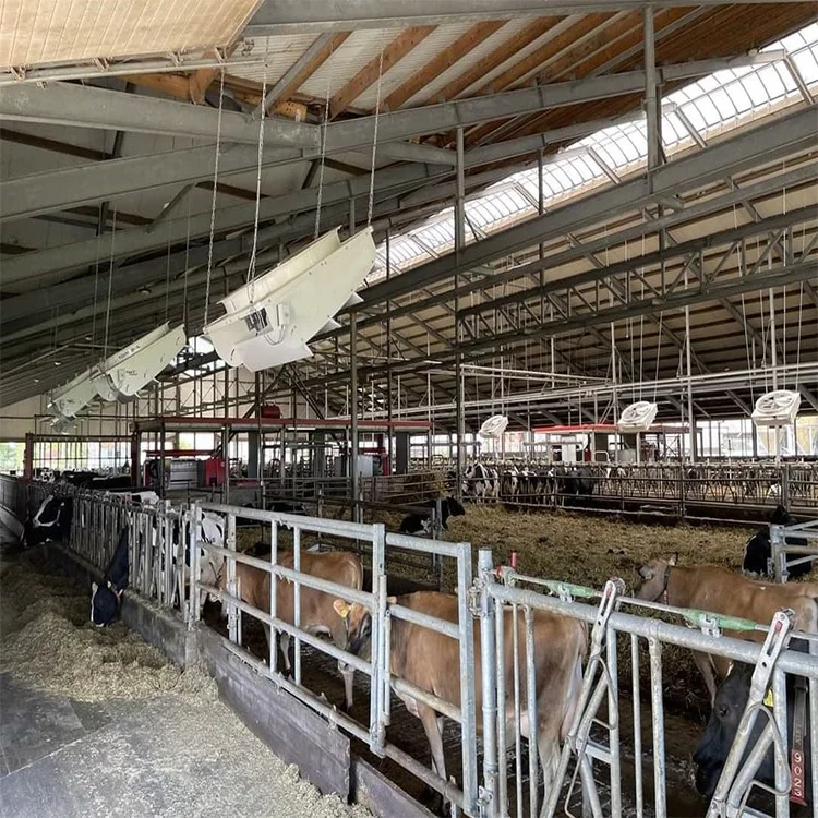 prefabricated dairy  house  steel structure cow  farm building with relative equipment