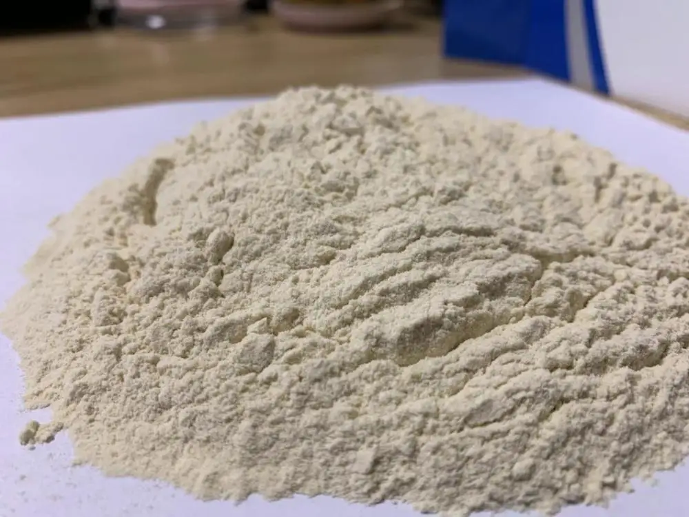 Haccp BRC 25kg/bag Wheat gluten Vital Wheat Gluten