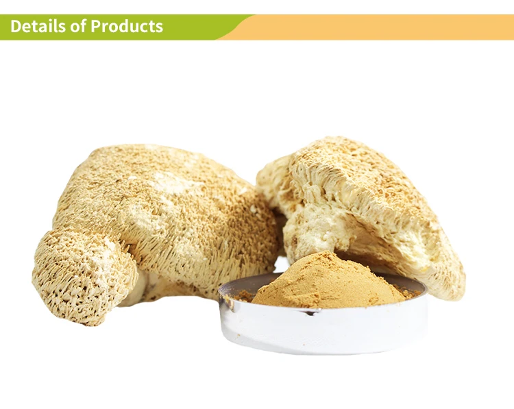 Экстракт грибов Львиной гривы, левая Грива (Hericium eroiseus)