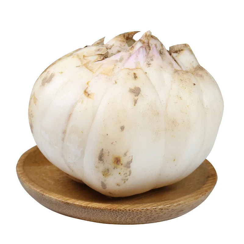 
Well-known white refreshing and delicious 100% natural premium fresh lilium brownii 