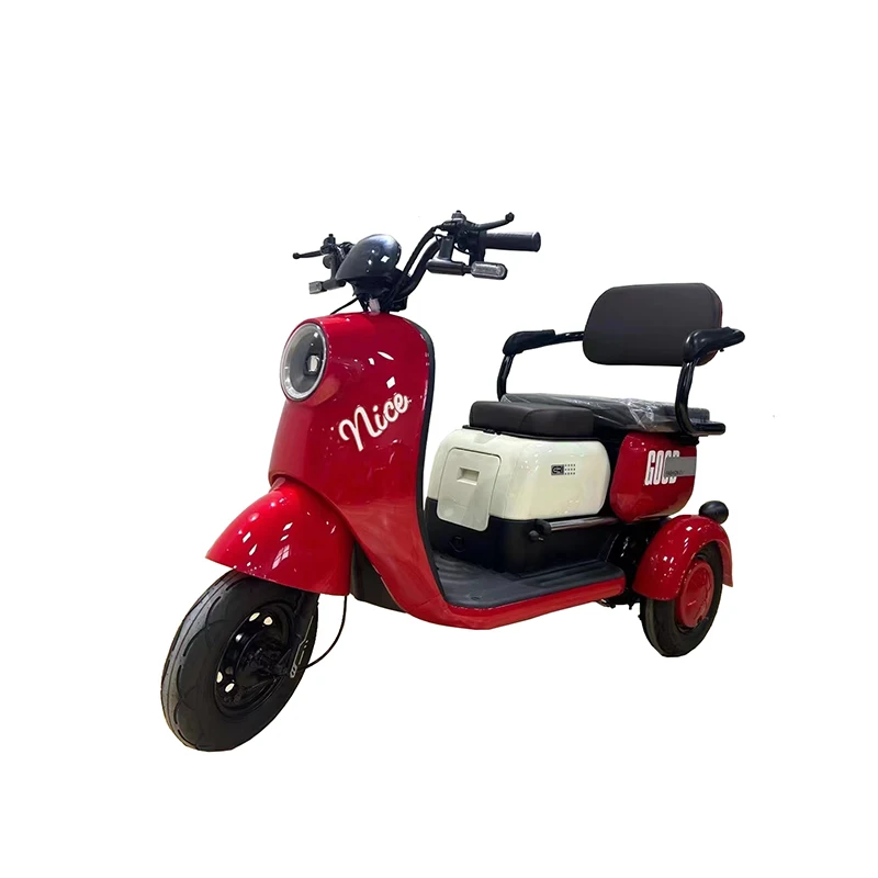 Electric Trike 500W 3-Wheel Triciclo Tricycle 60v 3-Speed Cargo Adult Bike with Fat Tires for Commuting