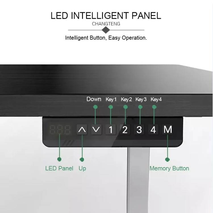 Home Height Adjustable Gaming Office Desk Black E-sports Pc Stand Up Desk With LED Light Computer Electric Standing Gamer Desk