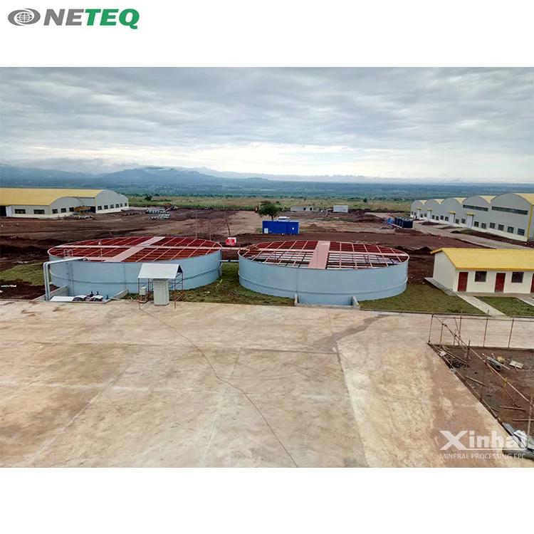 
High Efficient Gravity Thickener Price Sedimentation Tank 