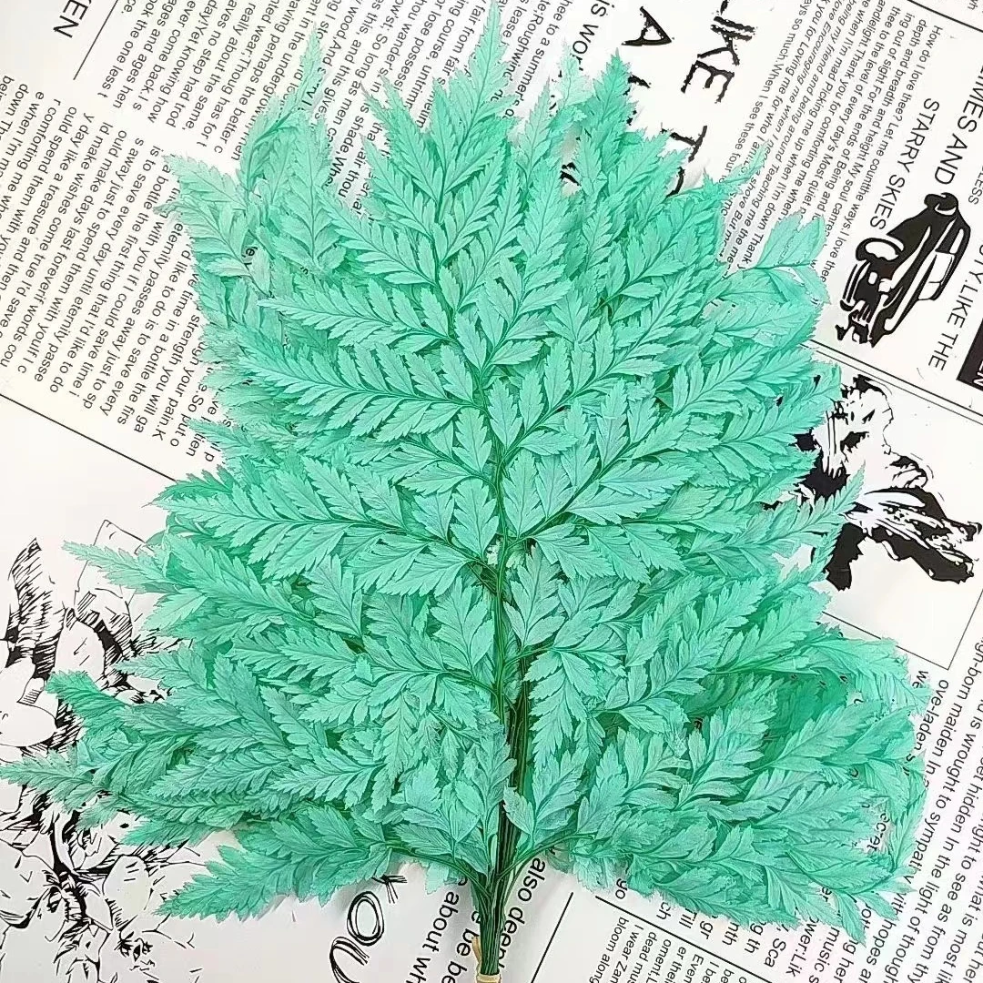 High Quality Flowers Arrangement Decorative Materials Preserved Alpine fern for decor