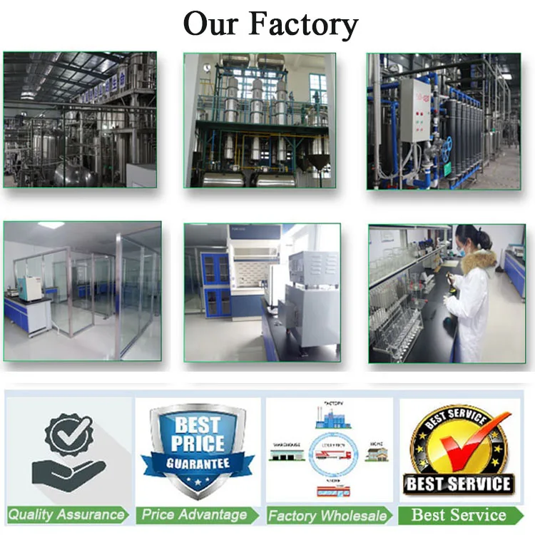 Natural Organic Schizochytrium Extract Docosahexaenoic Acid DHA Algae Oil Powder