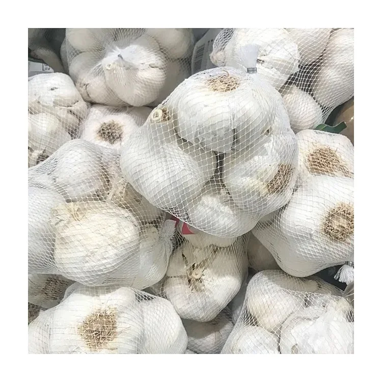 Wholesale Supplier New Fresh Normal White Garlic Manufacturer Good Quality Jinxang