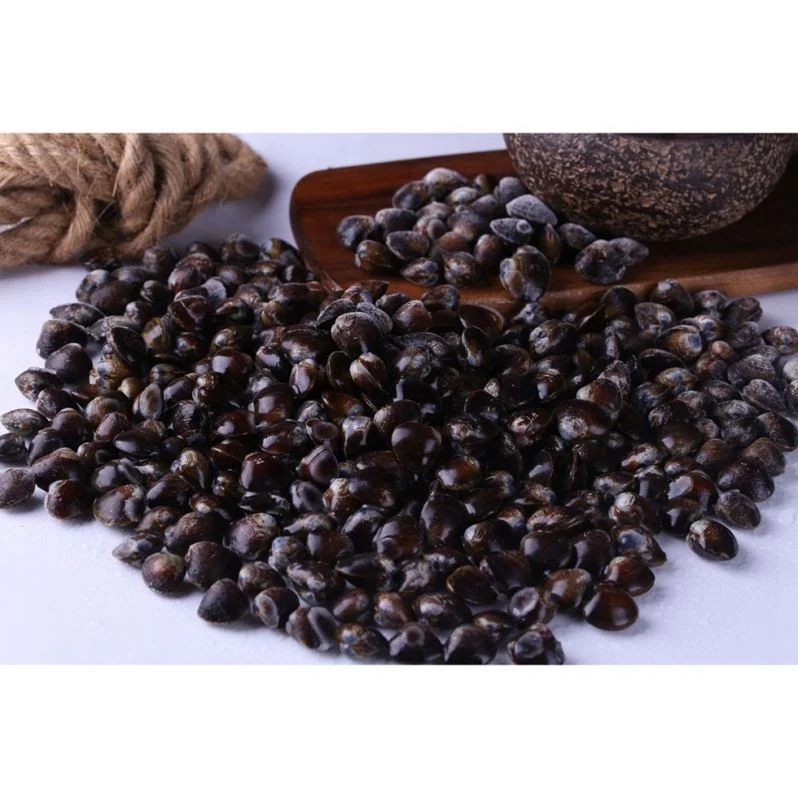 
IQF Seafood Frozen Delicious Healthy IQF Fresh Water Clam Meat 