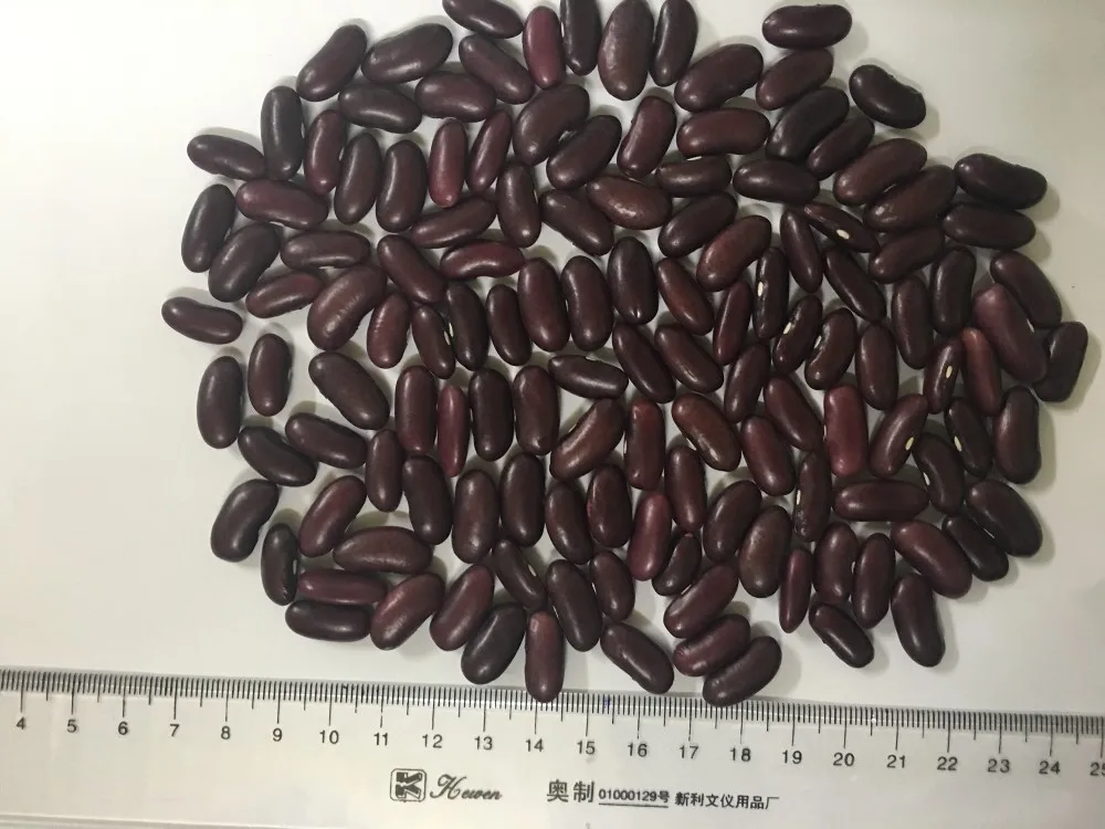 
HOT SELLING RED KIDNEY BEANS FROM VIETNAM 