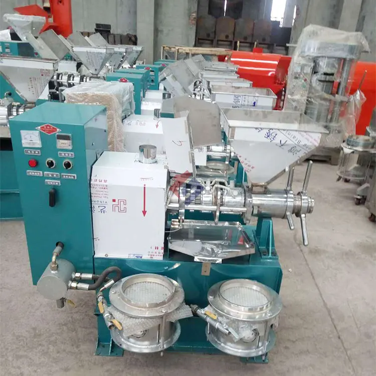 High end vegetable seeds peanut oil presser making machine extractor