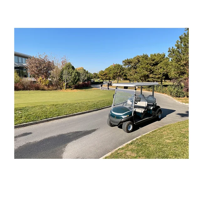 
Free solar system golf carts electric 4 seats with solar power system and 48 Lithium battery With CE Road legal 
