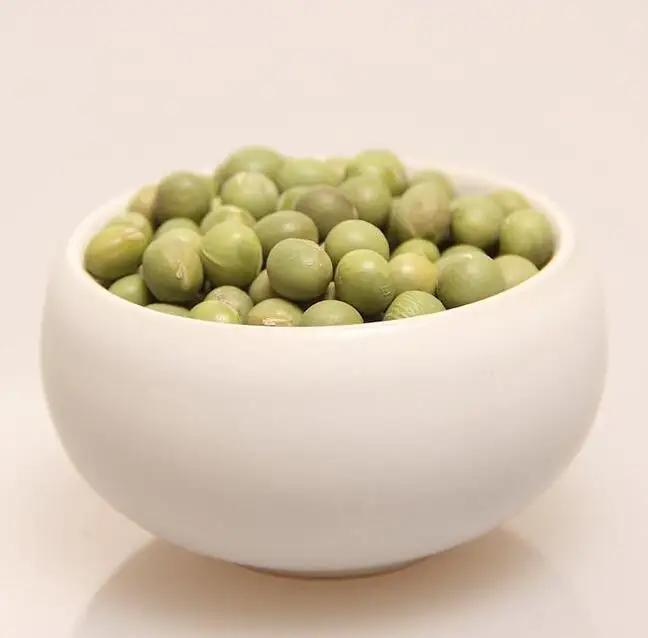 china tofu use soybean milk sprouting soybean different size can choose double mung bean