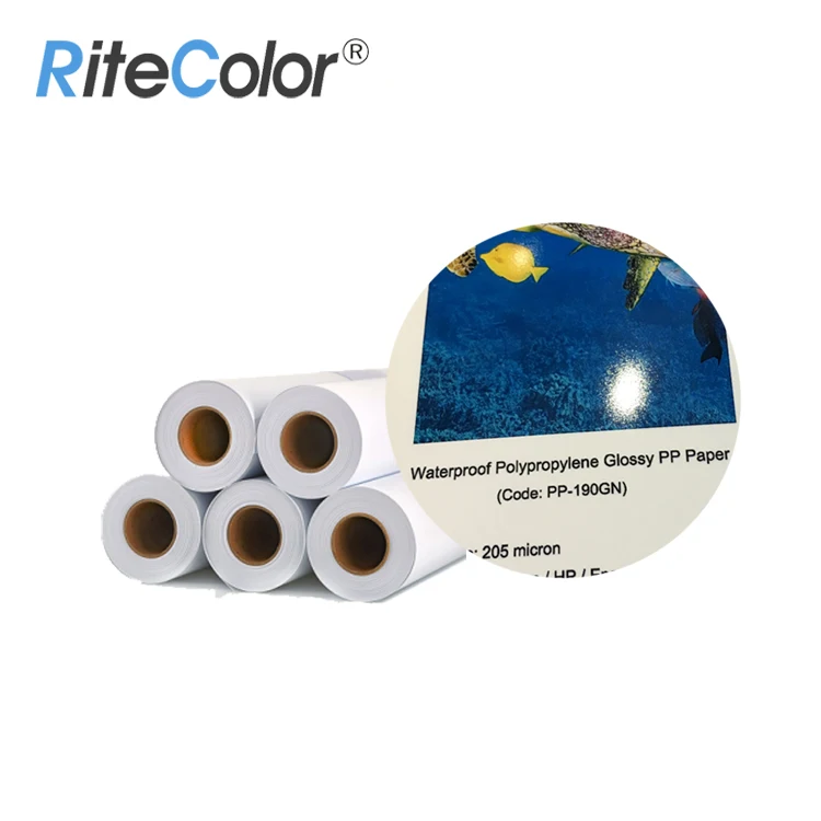 8 Mil Waterproof Wide Format Roll Eco-Solvent Matte Synthetic PP Paper , Solvent Polypropylene Paper