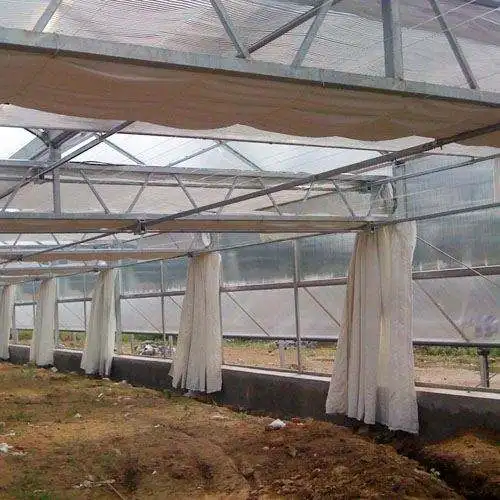Intelligent Control  Hydroponic  Greenhouse Multi-Span Polycarbonate / PC Sheet Greenhouses With Overall System