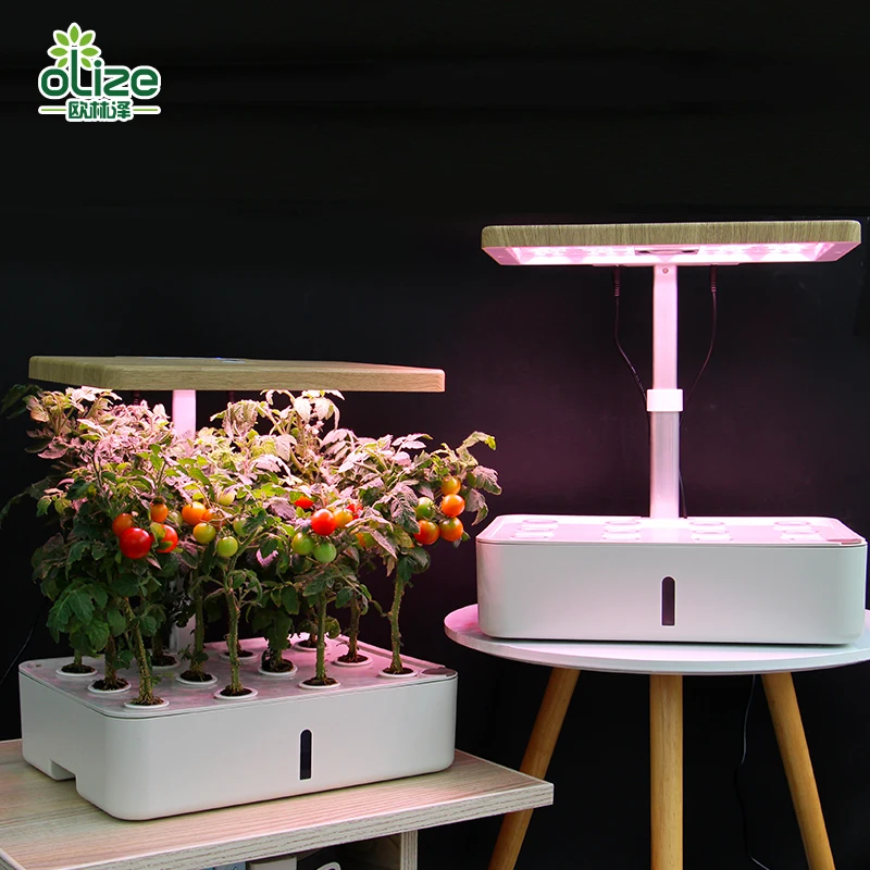 Hydroponics Growing System,Indoor Herb Garden Starter Kit w/LED Grow Light,Plant Germination Kits 12 Plant Pots for Home Kitchen