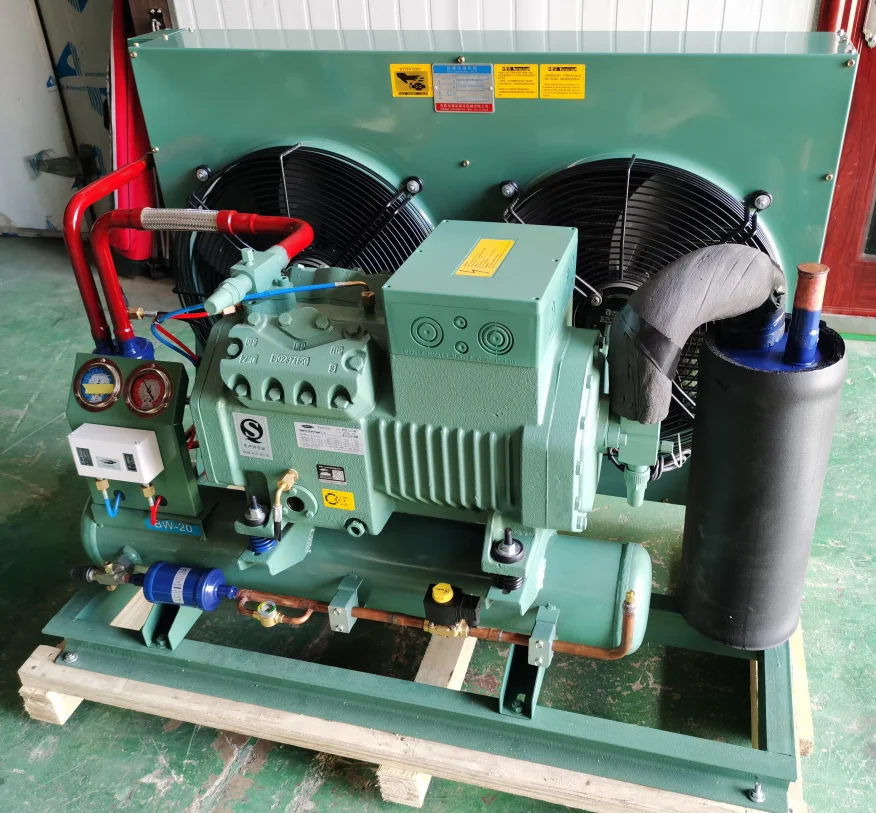 25HP/30HP/40HP Bitzer Piston Cooling Compressor Refrigerator Condensing Unit Low Temperature For Cold Room