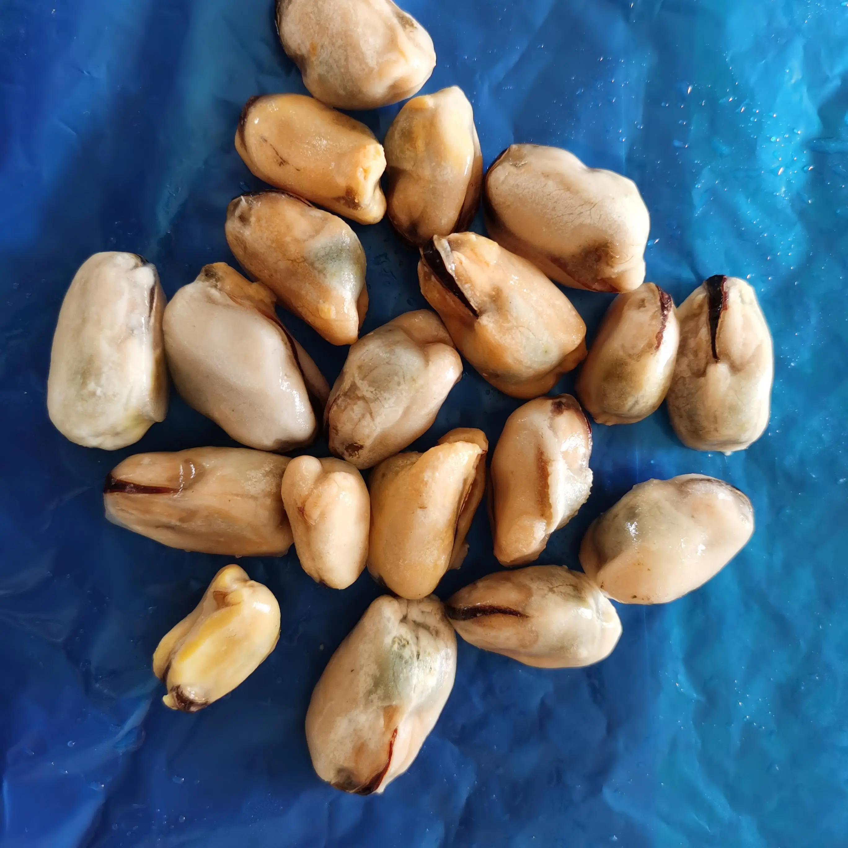 
Japan Shop Seafood Fresh Wholesale Seafood Prices Russian Seafood Suppliers 