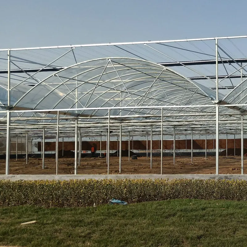 cheap price multi span high tunnel greenhouse hydroponics
